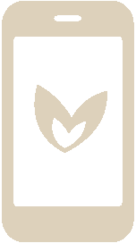 Signature Market Mobile Icon